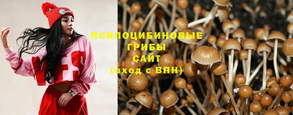 наркотики Горно-Алтайск