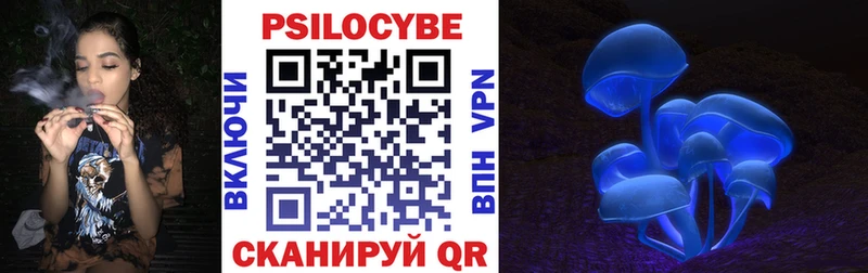 Купить закладки  Знаменск  Галлюциногенные грибы Psilocybe 