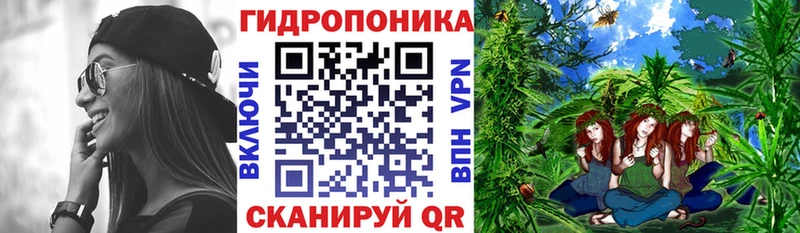 Купить  Знаменск  Каннабис Ganja 